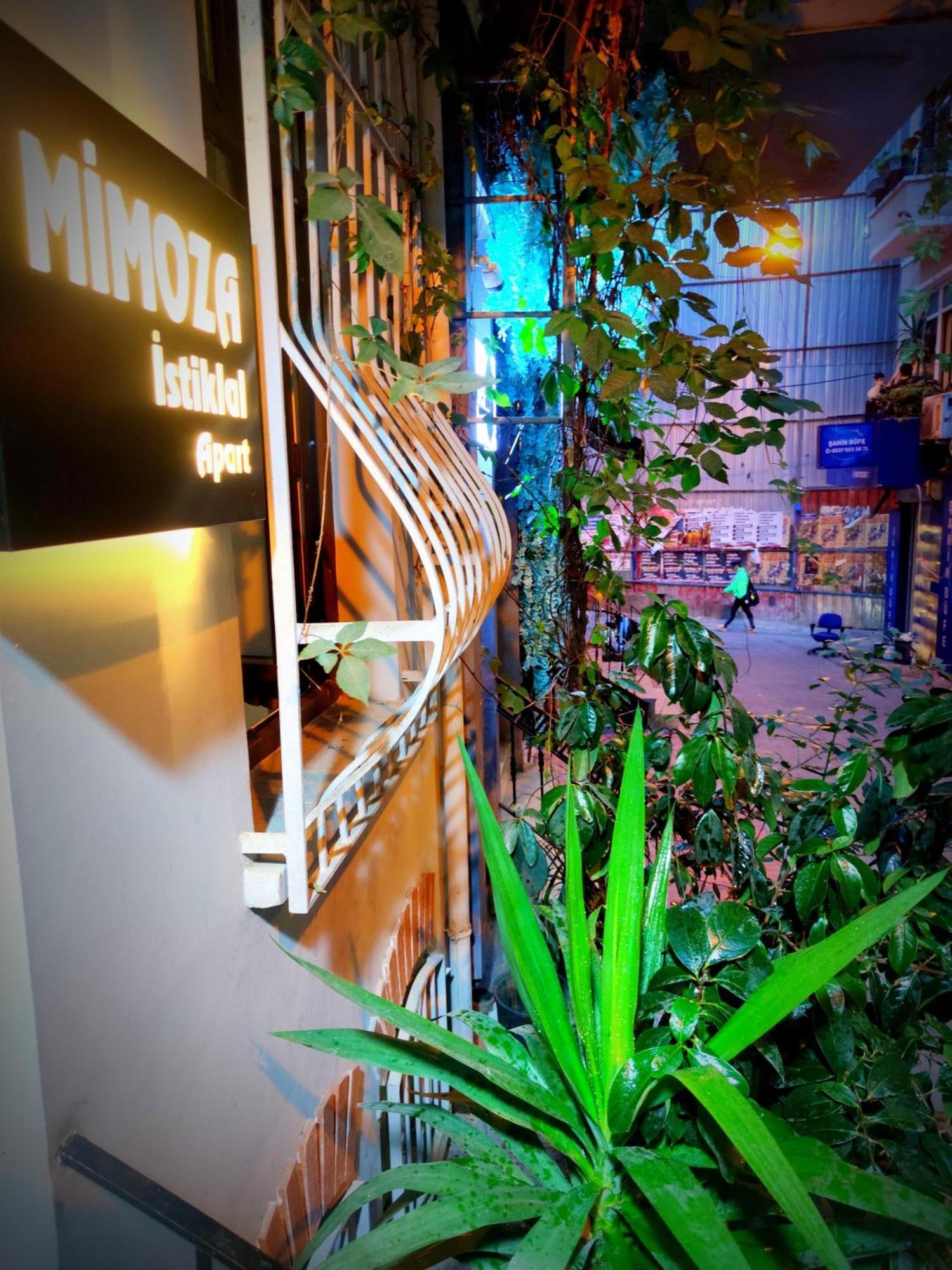 Mimoza Istiklal Apart Hotel Istanboel Buitenkant foto